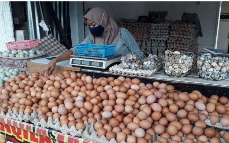 Mendag Sebut Kenaikan Harga Telur Tak Usah Diributkan, Komisi VI DPR Beri Peringatan  