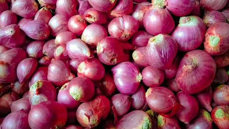 Jelang Nataru, Babel Tambah Pasokan 25 Ton Bawang Merah