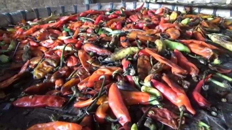 Dampak Kenaikan Harga, Cabai Oplosan Diburu Pembeli di Banyumas 