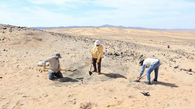 Fosil Berusia 80 Juta Tahun Ditemukan di Area Proyek Laut Merah Arab Saudi