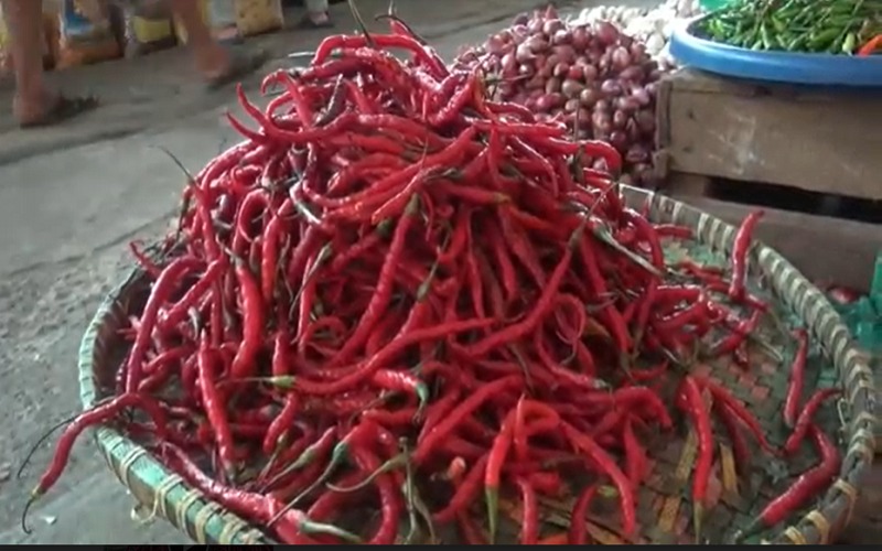 Makin Pedas, Harga Cabai di OKI Capai Rp80.000 per Kilogram 