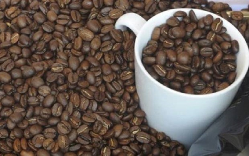5 Kopi Termahal di Dunia, Paling Mahal dari Kotoran Gajah, Harganya Puluhan Juta