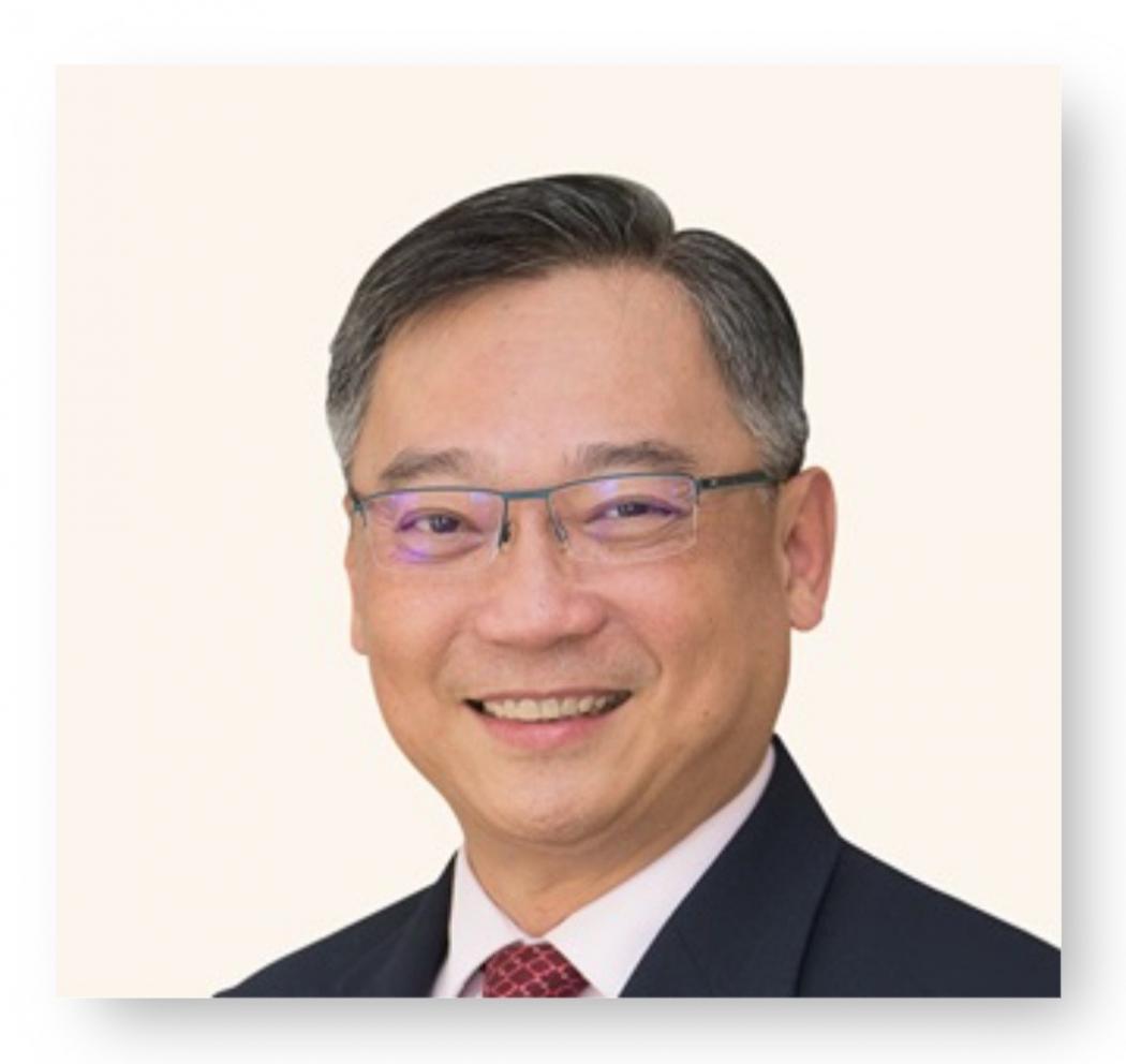 Singapura Sebut Indonesia Punya Peluang Investasi Menggiurkan, Apa Itu?