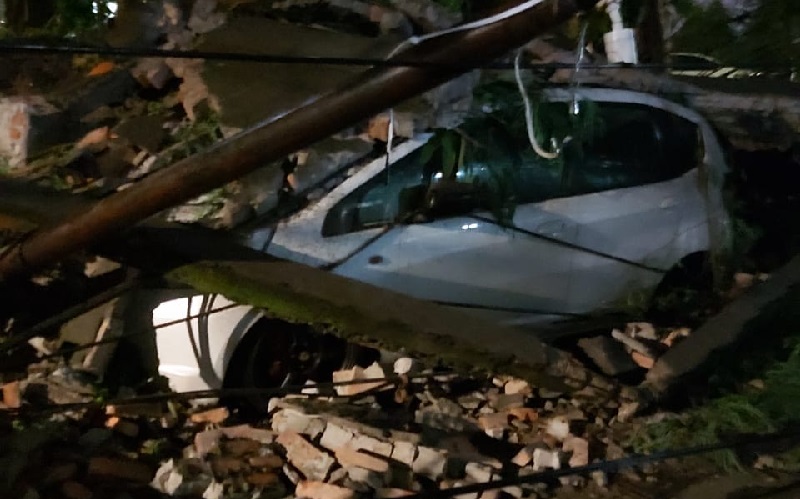 Jakarta Hujan Deras, Pohon Tumbang di Menteng Atas Sebabkan 2 Mobil Rusak Parah