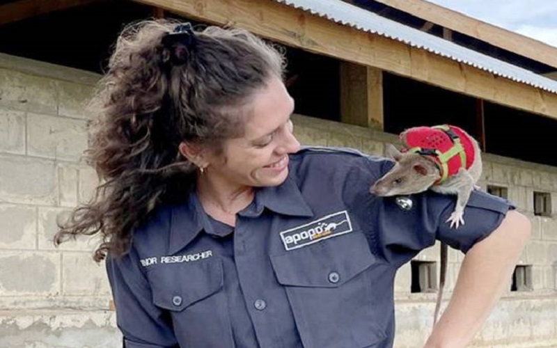 Ilmuwan Muda Ini Latih Tikus Jadi Penyelamat Korban Bencana 