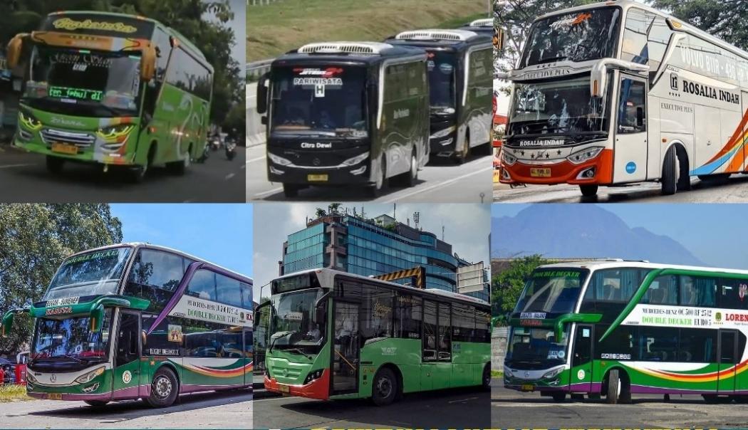 6 PO Bus Gunakan Nama Perempuan, Ada yang Pakai Nama Anak sebagai Pewaris