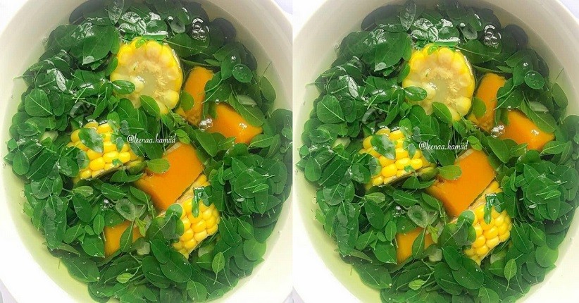 Cara Memasak Daun Kelor yang Benar, Sehat dan Segar untuk Sehari-hari