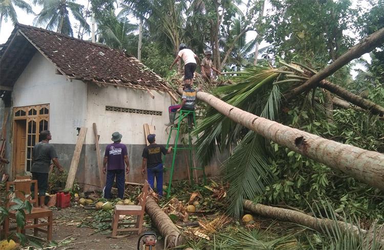3 Rumah Warga Aceh Timur Rusak Tertimpa Pohon Kelapa