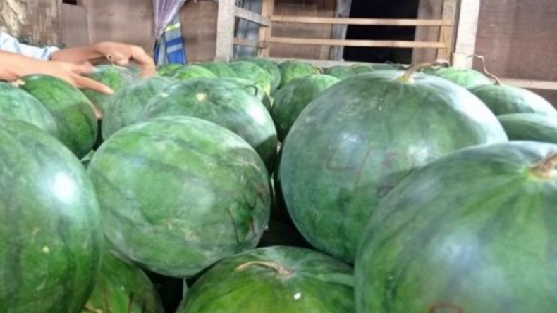 Ayat Alquran soal Semangka yang Jadi Simbol Perlawanan Palestina