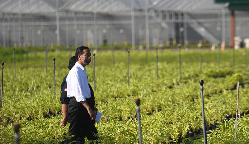 Jokowi Teken PP, Direksi BUMN Dilarang Jadi Pengurus Parpol hingga Caleg