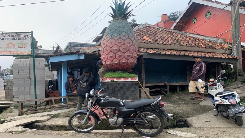 Cikalongwetan KBB Pernah Dikenal sebagai Penghasil Nanas Berkualitas, Ini Buktinya