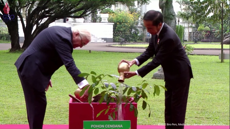 Saat Jokowi dan Presiden Jerman Tanam Pohon Cendana di Istana Bogor