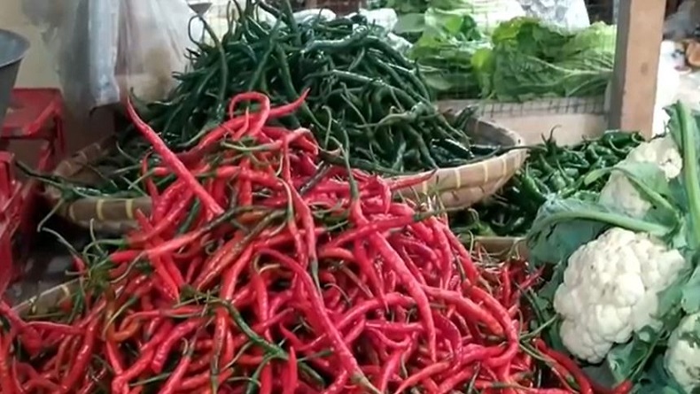 BUMD Milik Pemprov Jateng Borong 3,5 Ton Cabai dan Bawang Merah dari Petani