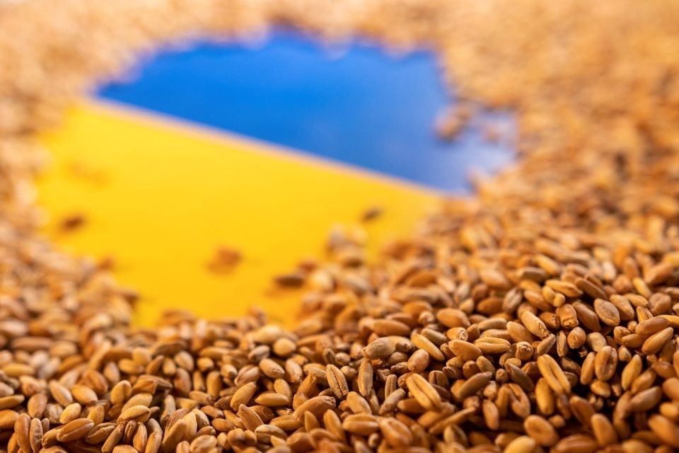 Dituduh Kirim 100.000 Ton Gandum Ukraina ke Suriah, Rusia: Berita Palsu!