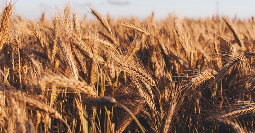  Cara Menurunkan Kolesterol Secara Alami 