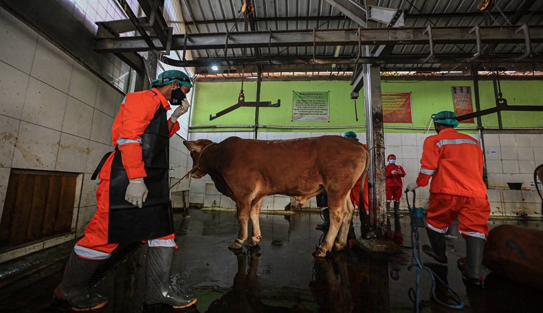 Antisipasi Tak Layak Konsumsi, 4.000 Hewan Kurban di Kota Bandung Bakal Diperiksa