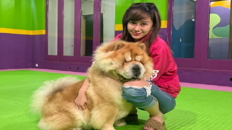 6 Fakta Denise Chariesta, TikToker Kontroversial yang Tengah Berseteru dengan Razman Arif Nasution 