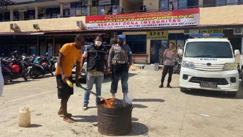 Polresta Jayapura Musnahkan Ganja 21 Kg dari 4 Tersangka asal Papua Nugini