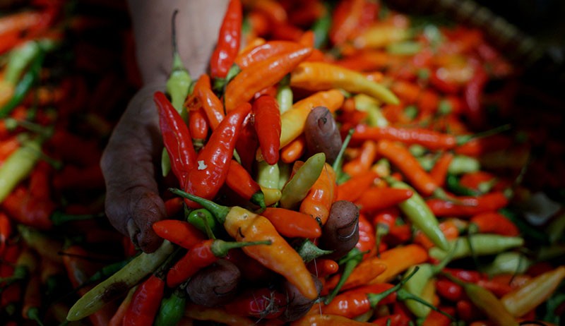 Harga Cabai Rawit Merah di Temanggung Tembus Rp120.000 per Kilogram