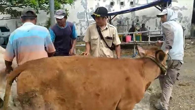 Jelang Idul Adha, Pengawasan Hewan Kurban di Banjarnegara Diperketat
