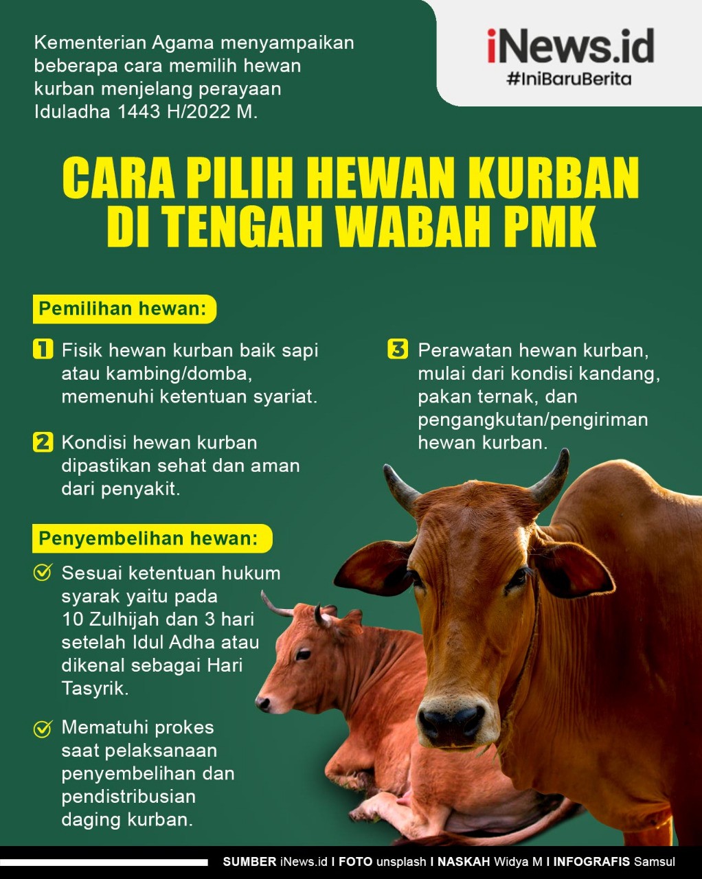 Infografis Cara Pilih Hewan Kurban di Tengah Wabah PMK