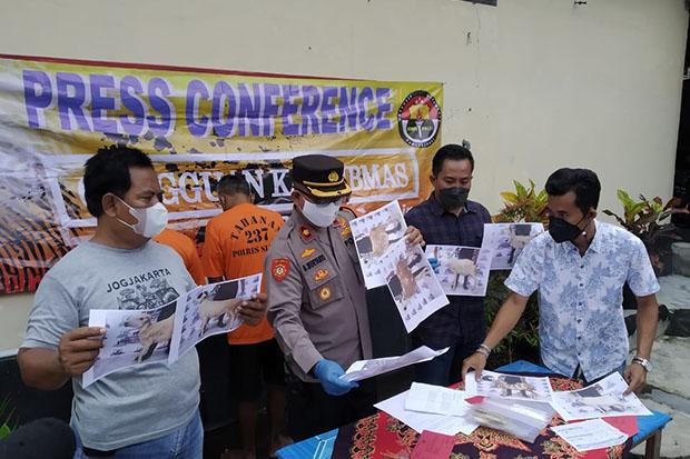 Potong Kabel CCTV, Komplotan Pencuri Berhasil Sikat 8 Kambing  Pakai Mobil Avanza