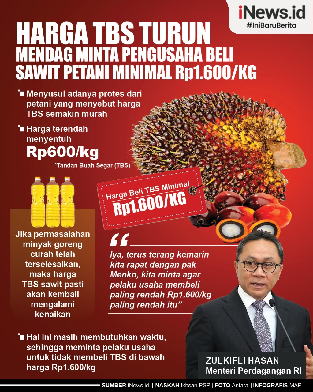 Infografis Harga TBS Turun, Mendag Minta Pengusaha Beli Sawit Petani Minimal Rp1.600/Kg