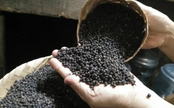 Menggiurkan, Ekspor Lada Hitam Indonesia Capai Rp254 Miliar di Kuartal I 2022