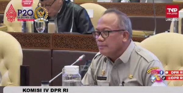 Kementan Sebut 240.944 Ekor Sapi Terjangkit PMK, Ini Sebarannya