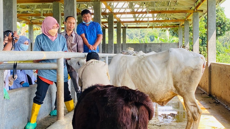 Ratusan Sapi Sehat di Kota Bogor Mulai Divaksin PMK Hari Ini