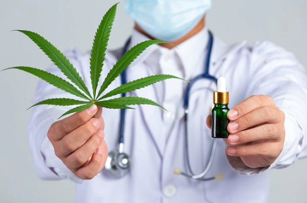 DPR Dorong Riset Ganja untuk Medis di Indonesia