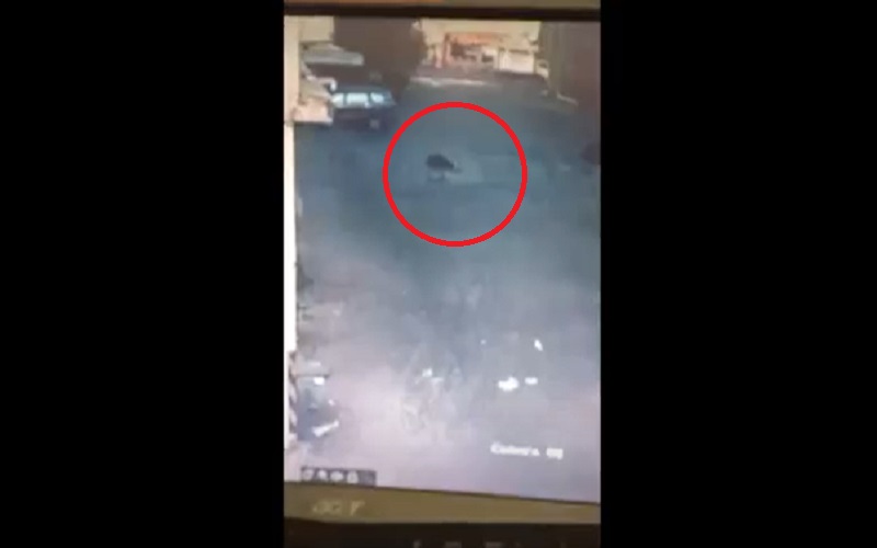 Terekam CCTV, Detik-Detik Mahasiswi Diduga Lompat dari Gedung Lantai 6 Makassar