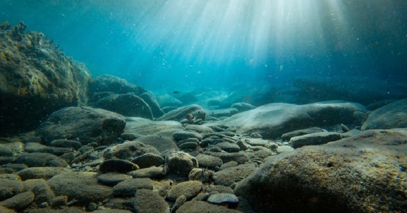 Berkat Seabed 2030, Hampir Seperempat Dasar Laut Kini Telah Dipetakan