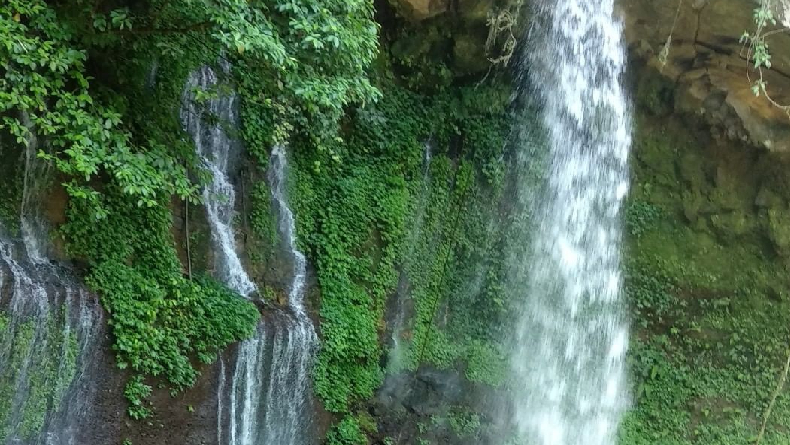 5 Hidden Gem di Purwokerto, Cocok untuk Healing