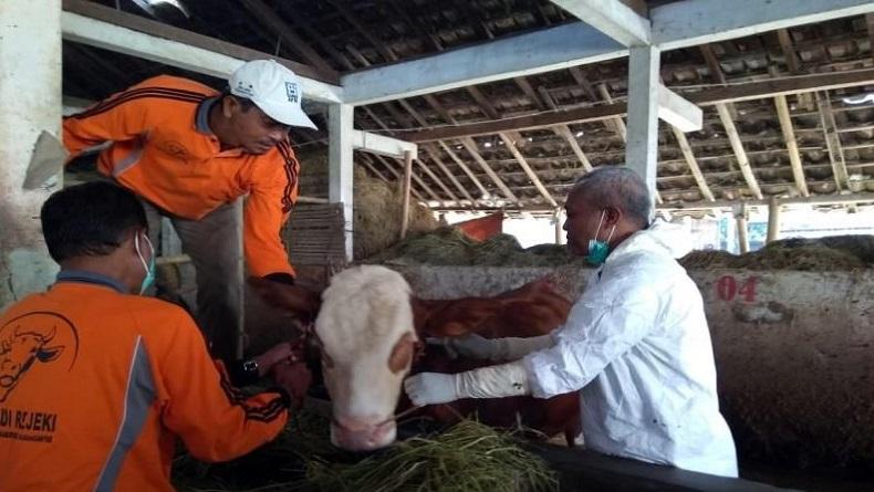 Pemkab Karanganyar Percepat Vaksinasi PMK ke Ternak Sapi