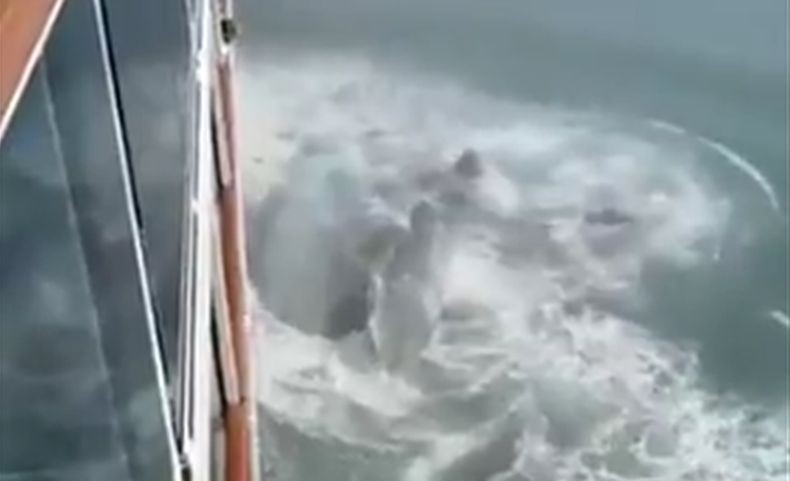 Viral, Bak Peristiwa Titanic Kapal Pesiar Tabrak Gunung Es di Alaska 