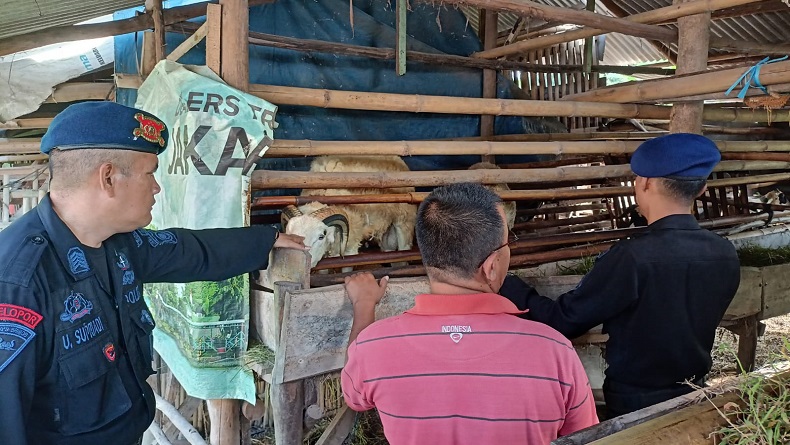 Peternak Sapi di KBB Derita Kerugian Rp17 Miliar akibat Wabah PMK