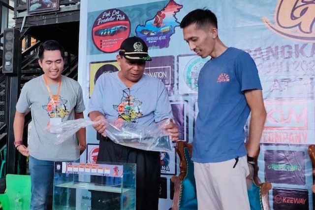 Pernah Ditawar Hingga Rp40 Juta, Kontes Ikan Channa Digelar di Pangkalan Bun