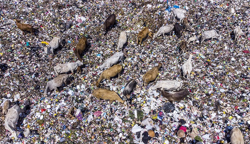Duh, Sampah di Padang Capai 640 Ton Per Hari 