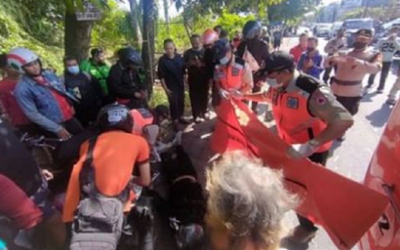 Selain Tewaskan Pengendara, Pohon Tumbang di Denpasar Rusak 4 Kendaraan 