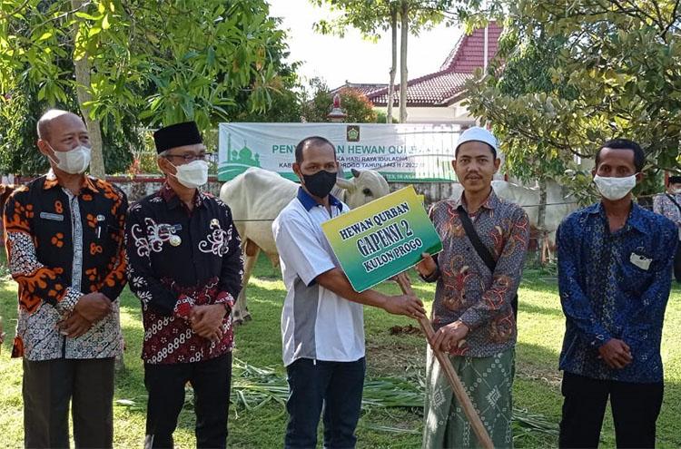 Pemkab Kulonprogo Distribusikan 25 Hewan Kurban ke Masyarakat
