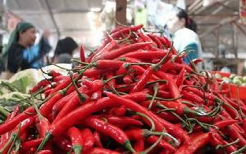 Pedas, Harga Cabai di Palembang Rp120.000 per Kilogram