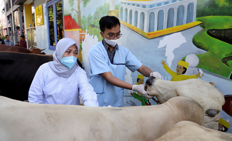 Cegah PMK, Pemkot Surabaya Terjunkan Petugas Veteriner untuk Periksa Hewan Kurban