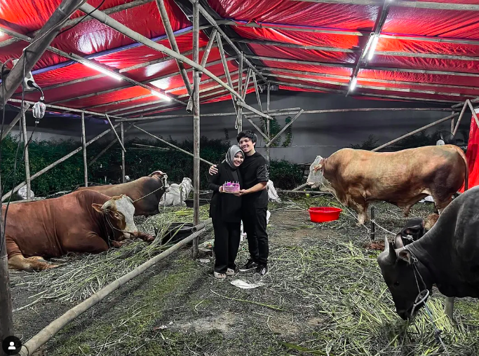 Aurel Hermansyah Ulang Tahun, Atta Halilintar Berikan Kejutan di Kandang Sapi: Semerbak Wanginya