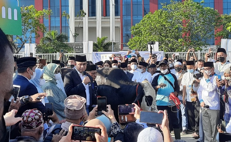 Anies Serahkan Sapi 1,2 Ton ke Panitia Kurban JIS, Dibagikan untuk Warga Jakarta dan Sekitarnya