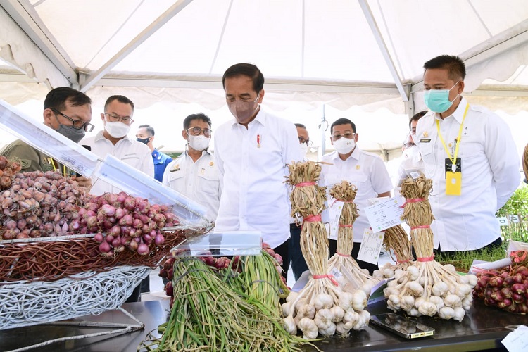 3 Tahun Tidak Impor, Jokowi Yakin Swasembada Beras Segera Tercapai