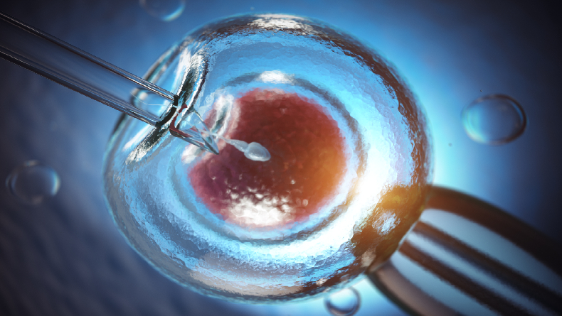 Hukum Bayi Tabung dalam Islam Menurut Fatwa MUI, Haram Jika Kasusnya Demikian