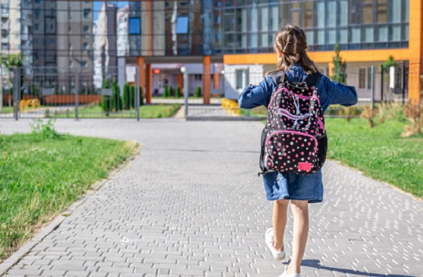 Wamendikdasmen soal Putusan MK Sekolah Gratis: Swasta Masih Boleh Terima Iuran  