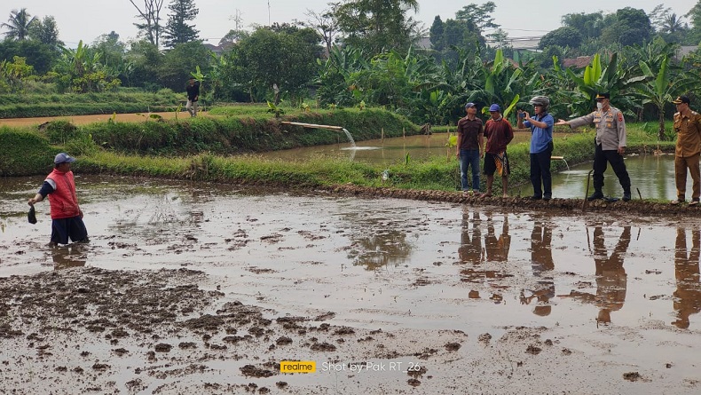 Heboh, Warga Cisaat Sukabumi Temukan Mayat Pria Lansia di Tengah Sawah