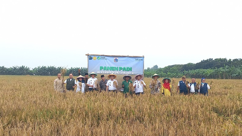 Panen Padi di Rorotan Jakut, Wagub DKI Pastikan Kebutuhan Pangan Tercukupi dan Harga Terjangkau